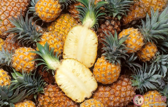 為什么勸你春天別亂買菠蘿吃 怎樣才能選到甜甜的菠蘿