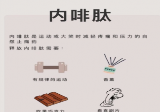 內啡肽才是減肥高級模式嗎 內啡肽有什么作用