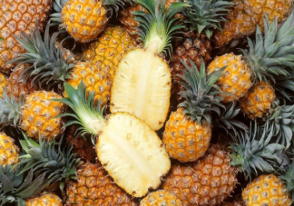為什么勸你春天別亂買菠蘿吃 怎樣才能選到甜甜的菠蘿