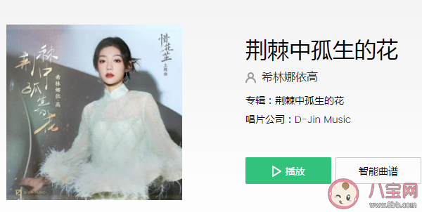 希林娜依高《荊棘中孤生的花》歌詞是什么 《荊棘中孤生的花》歌詞歌曲介紹