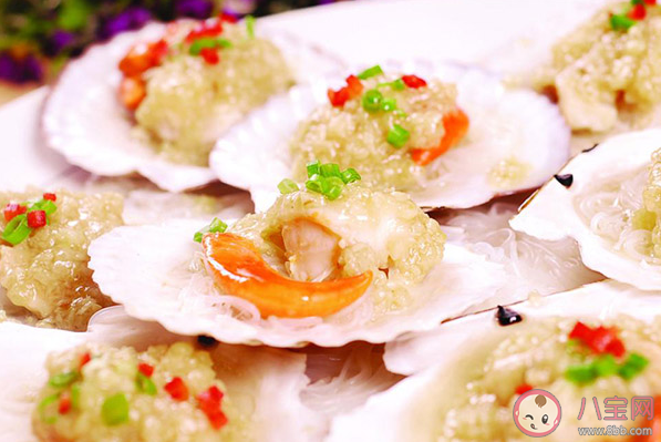 如何通過顏色區分扇貝的正反面 神奇海洋4月3日答案