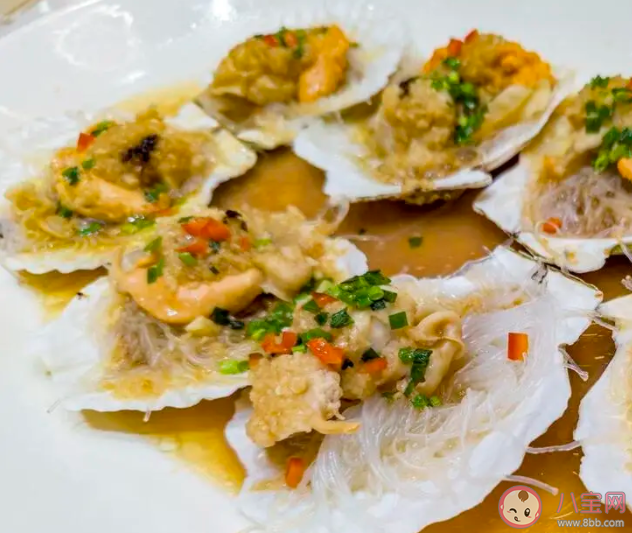 如何通過顏色區分扇貝的正反面 神奇海洋4月3日答案