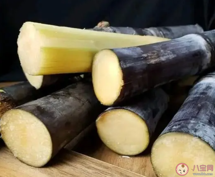 清明前后以下哪種食物存在霉變風險食用須謹慎 螞蟻莊園4月4日答案