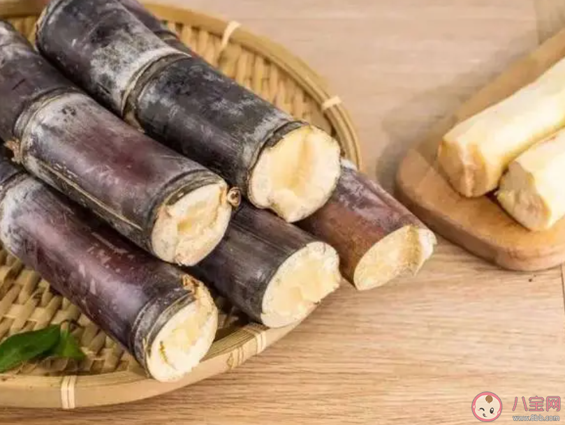 清明前后以下哪種食物存在霉變風險食用須謹慎 螞蟻莊園4月4日答案