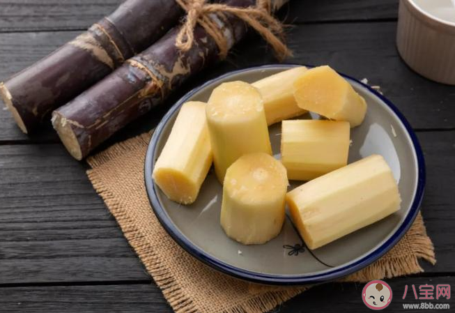 清明前后以下哪種食物存在霉變風險食用須謹慎 螞蟻莊園4月4日答案