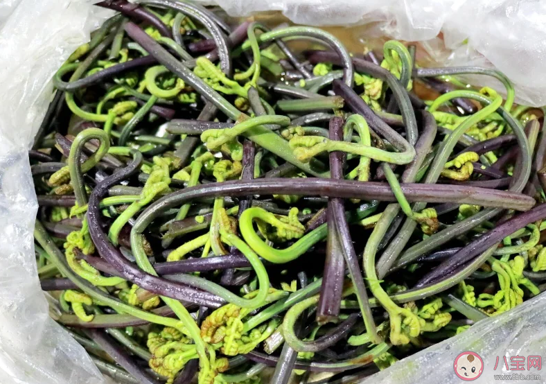 大媽連吃7天野菜吐血暈厥是怎么回事 野菜能多吃嗎