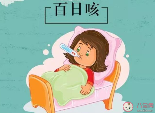 蒜泥冰糖水可緩解百日咳頻咳嗎 孩子患百日咳怎么辦