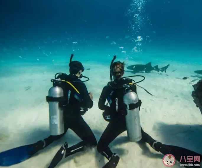 為何大家不再愿意去三亞潛水 去潛水要注意些什么