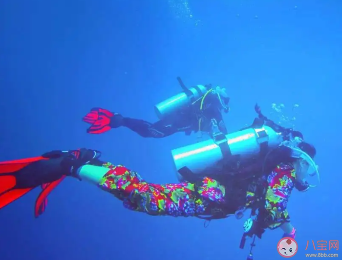 為何大家不再愿意去三亞潛水 去潛水要注意些什么