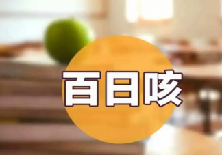 蒜泥冰糖水可緩解百日咳頻咳嗎 孩子患百日咳怎么辦