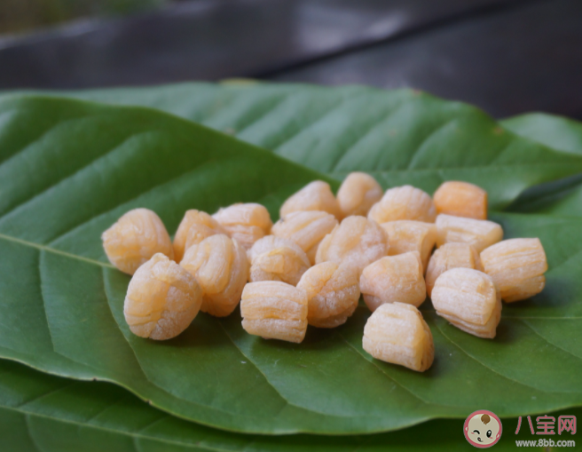 人們俗稱的瑤柱其實(shí)是扇貝的什么 神奇海洋4月4日答案