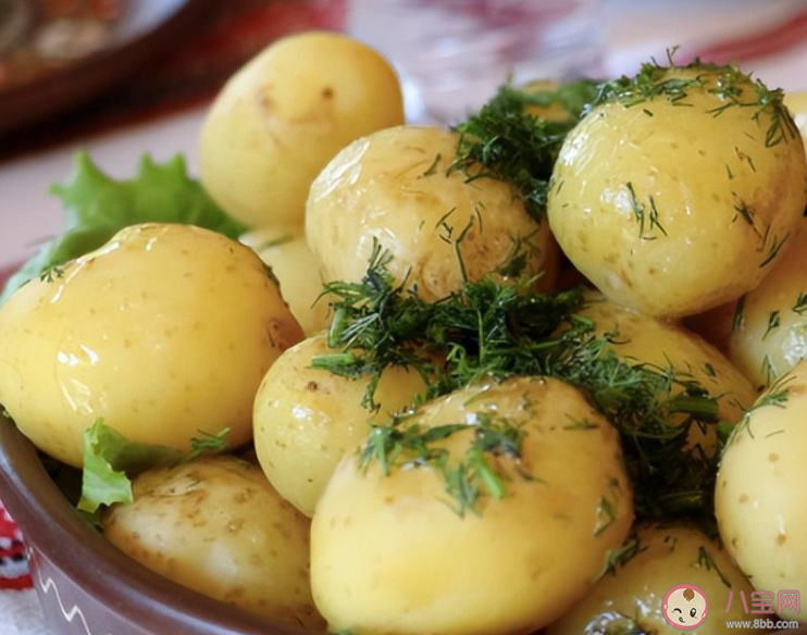 土豆為什么得名馬鈴薯 螞蟻莊園4月5日答案