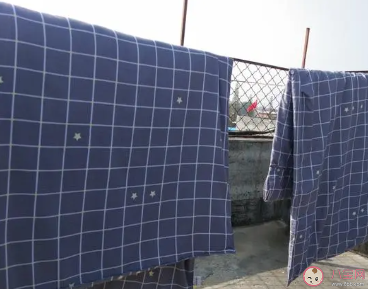 曬過的被子有一股太陽味這是螨蟲被烤焦的味道嗎 螞蟻莊園4月8日答案