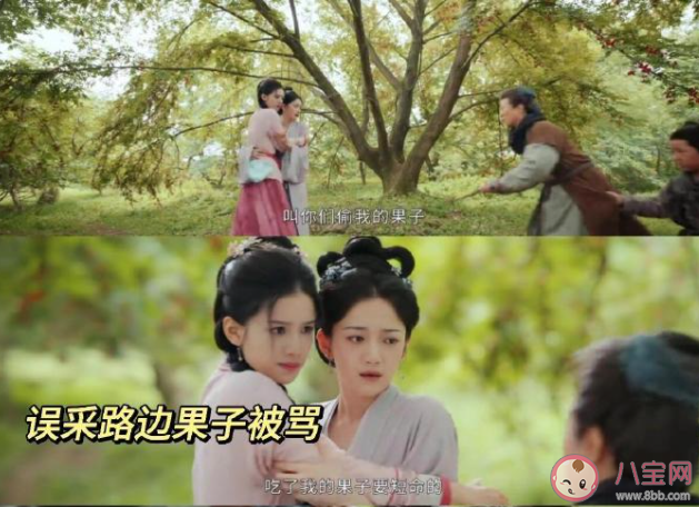 《惜花芷》四夫人的孩子是誰(shuí)的 花家為什么被抄家