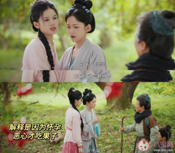 《惜花芷》四夫人的孩子是誰(shuí)的 花家為什么被抄家